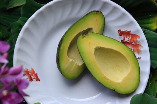 healthy avocado